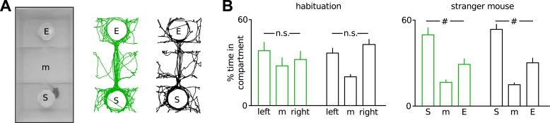 Figure 1—figure supplement 4.