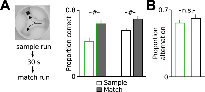 Figure 1—figure supplement 1.