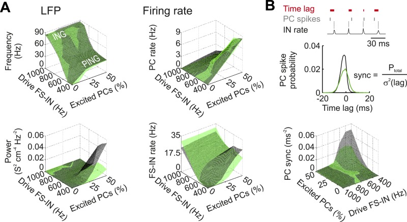 Figure 5—figure supplement 1.