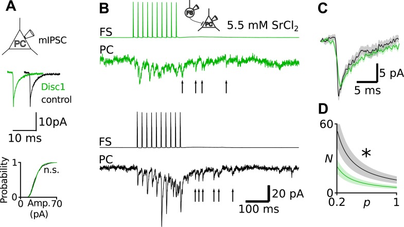 Figure 4—figure supplement 4.