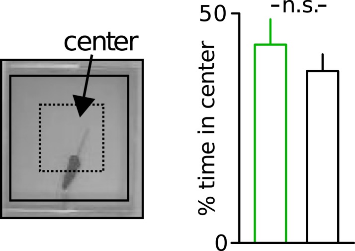 Figure 1—figure supplement 3.