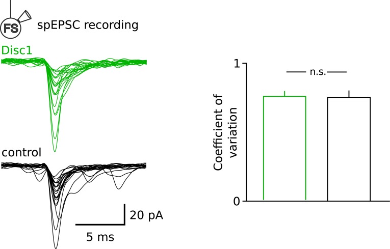 Figure 4—figure supplement 5.