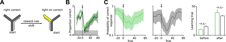 Figure 1—figure supplement 2.