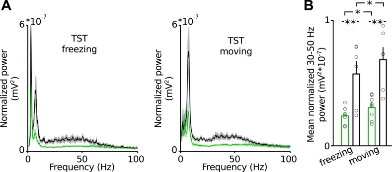 Figure 2—figure supplement 1.