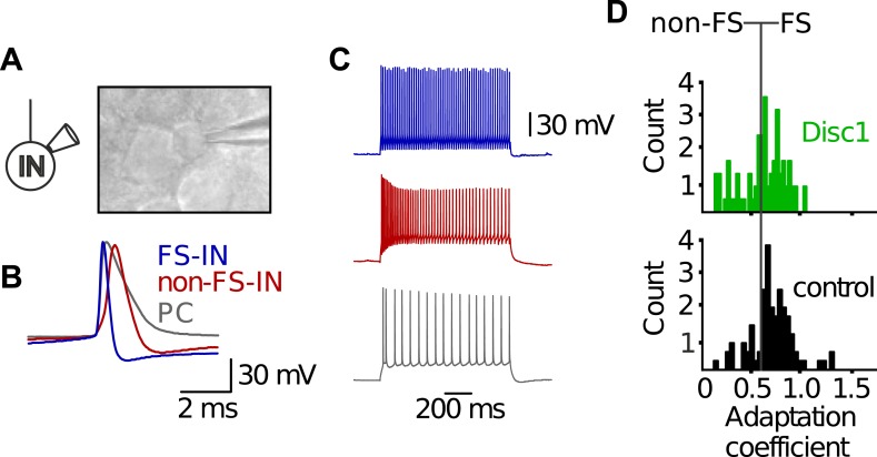 Figure 3—figure supplement 3.