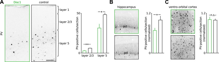 Figure 3—figure supplement 1.