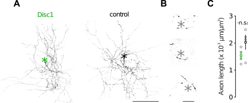 Figure 3—figure supplement 4.