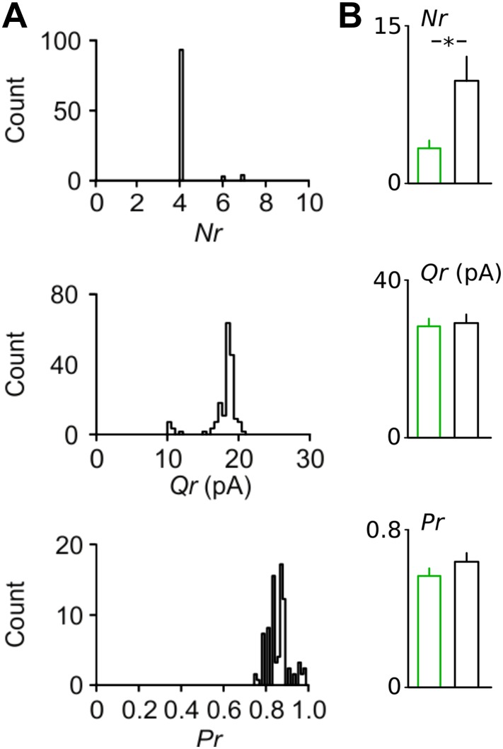 Figure 4—figure supplement 2.