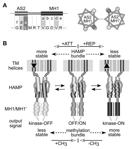 Fig. 8