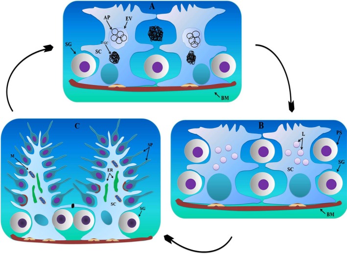 Figure 14