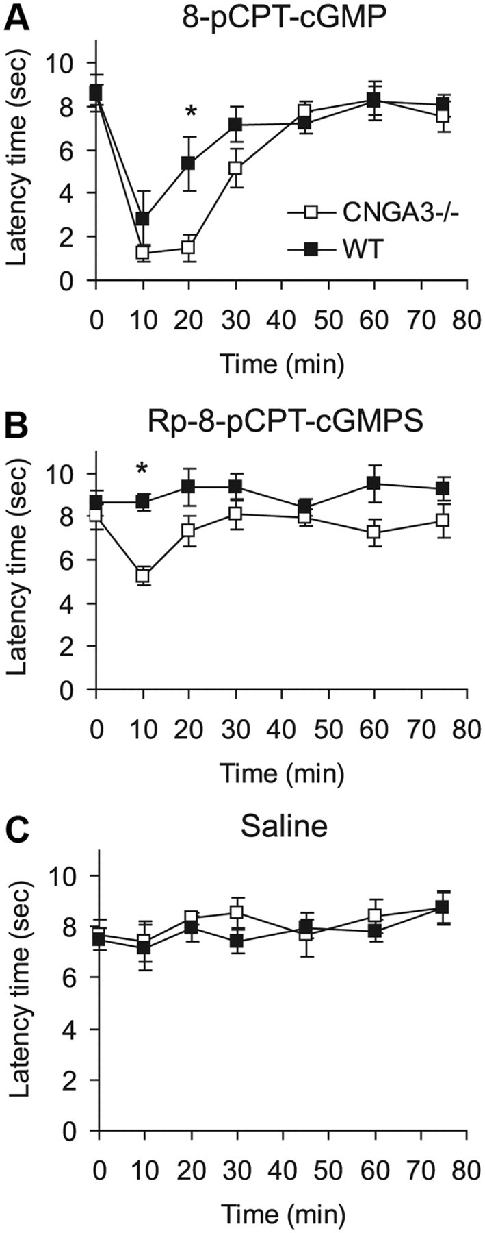 Figure 6.