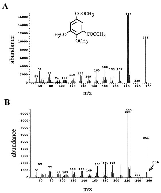 FIG. 5