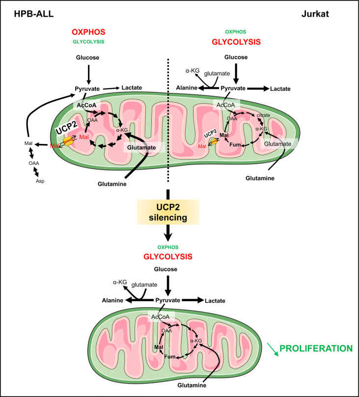 Figure 7