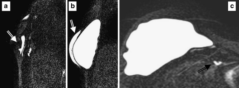 Fig. 8