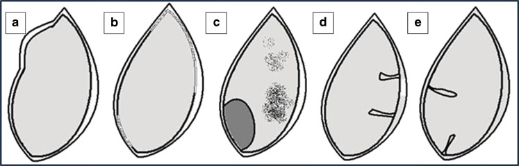 Fig. 14