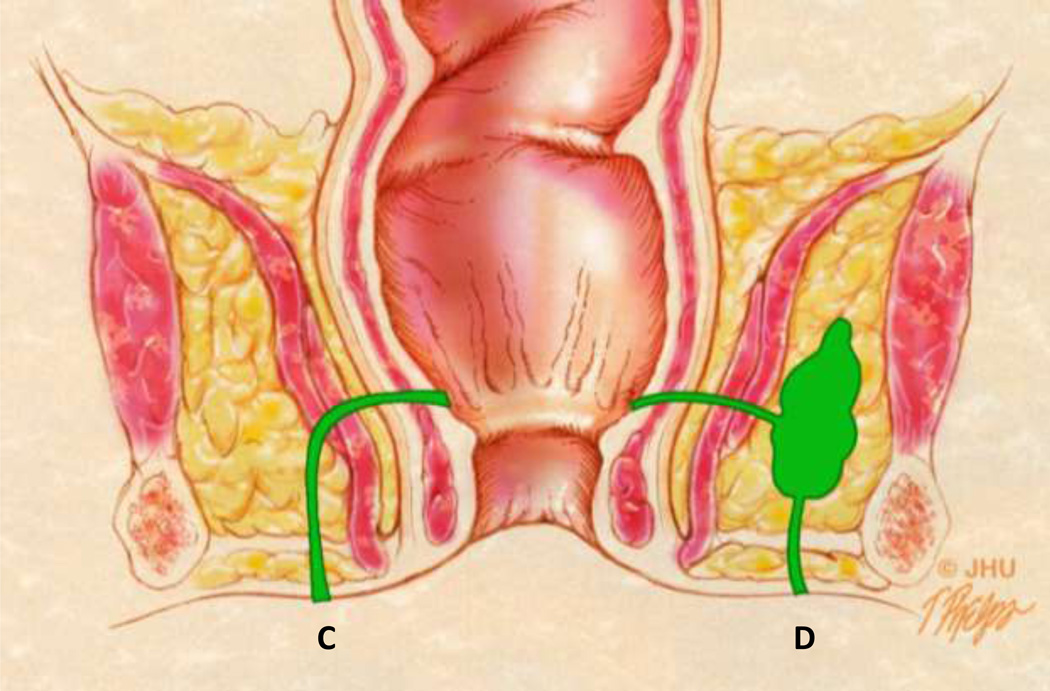 Fig 7