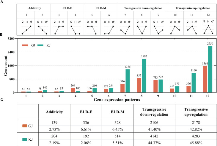 Figure 4