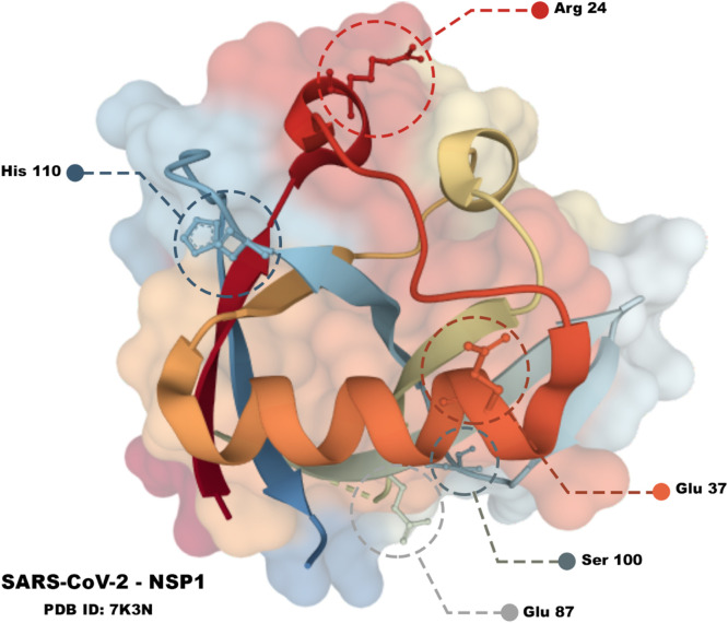 Fig 7
