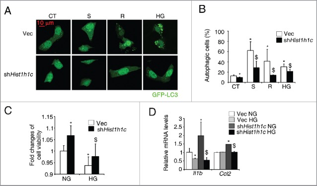 Figure 6.