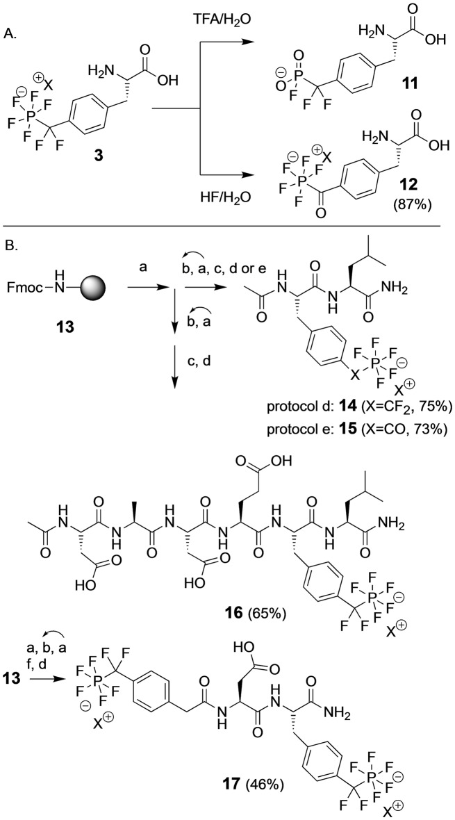 Scheme 2