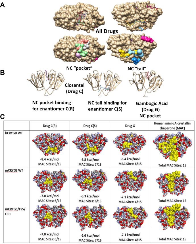 Figure 4