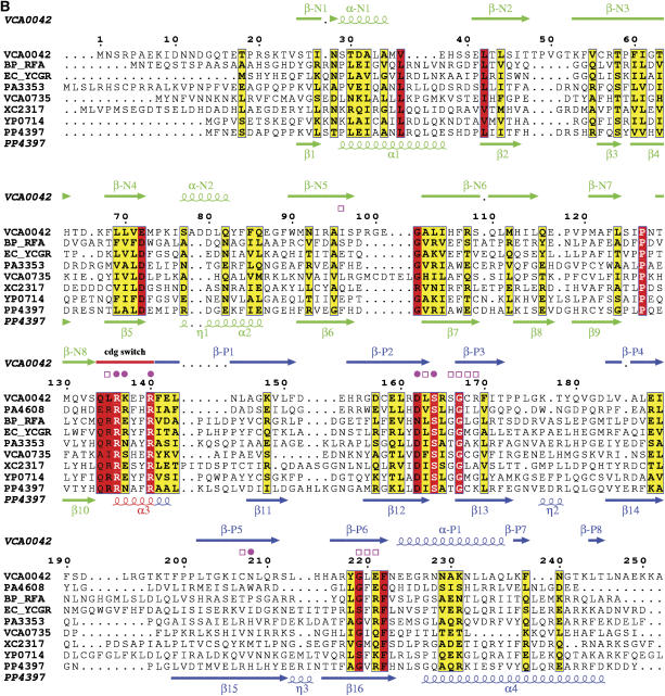 Figure 1b