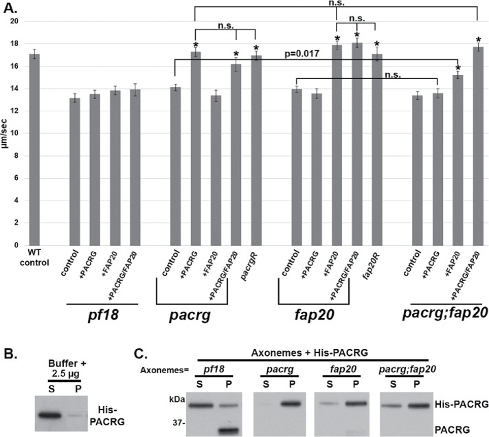 FIGURE 3: