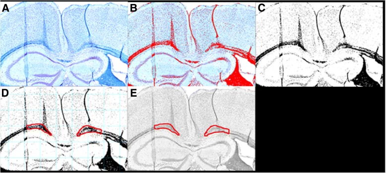 Fig. 4