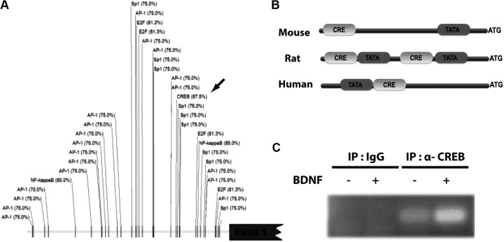 Figure 6.