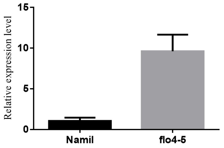 Figure 4