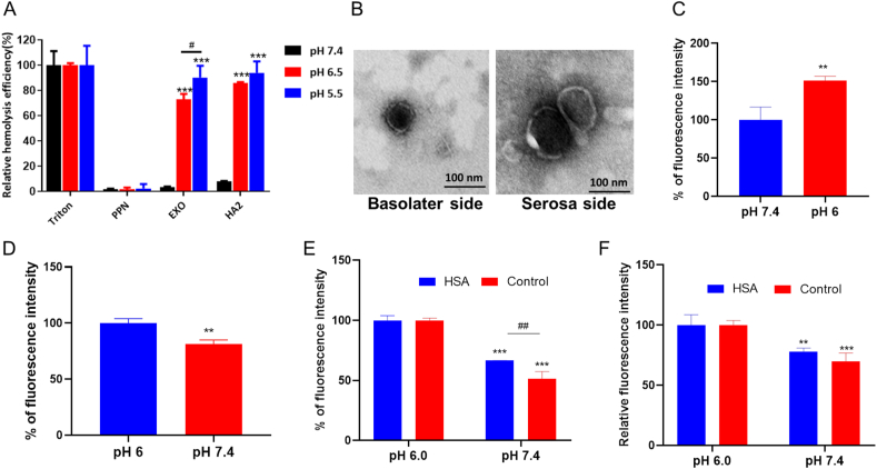 Figure 6