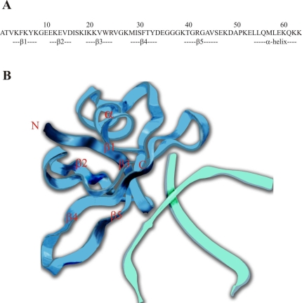 Figure 6.