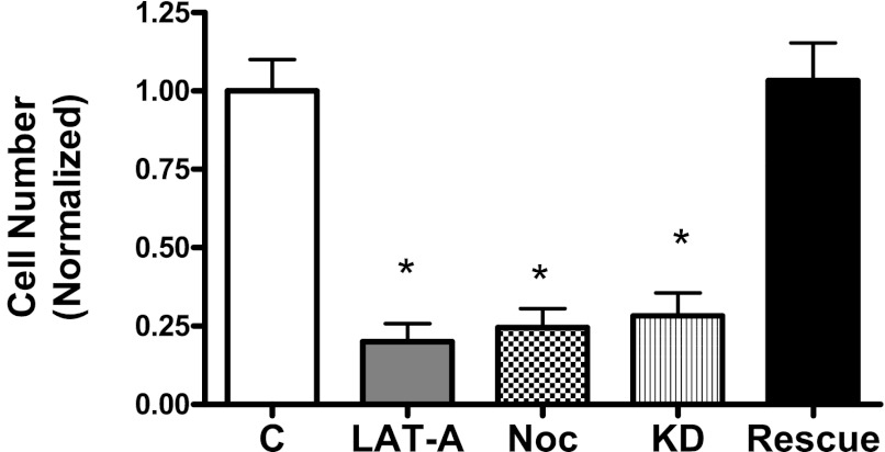 Figure 7.