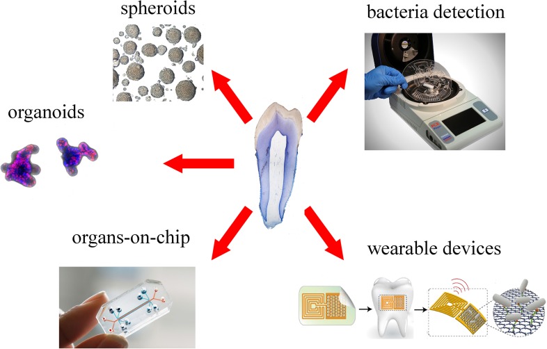 FIGURE 4