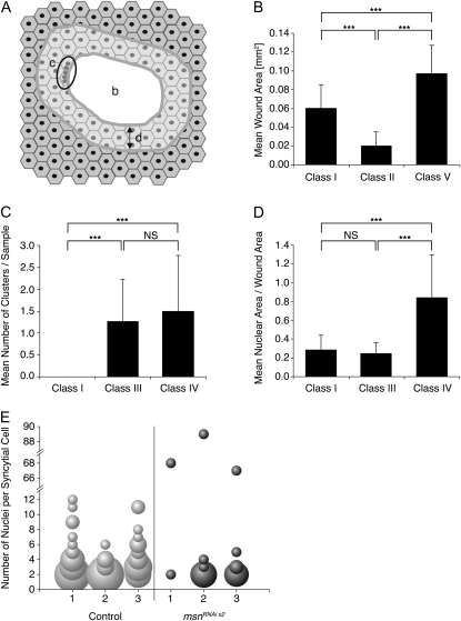 Figure 5.—