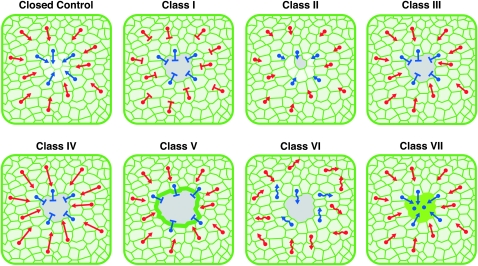 Figure 7.—