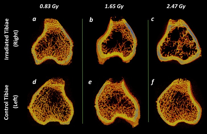 Fig 9