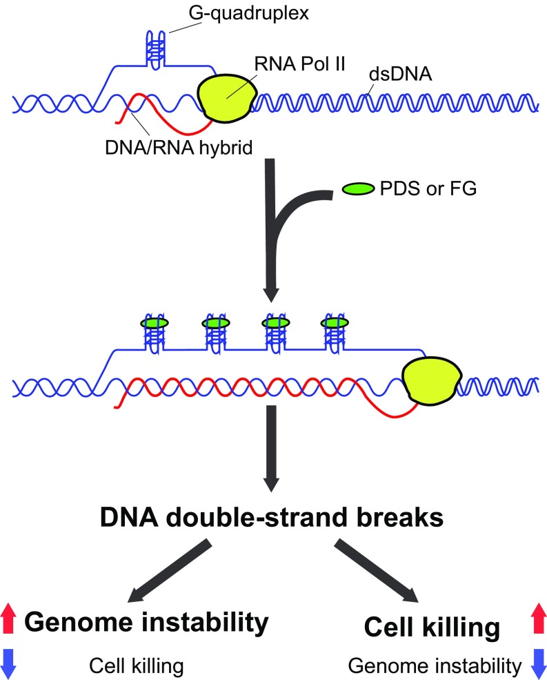 Fig. 6.