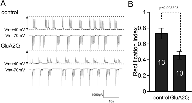 Figure 4