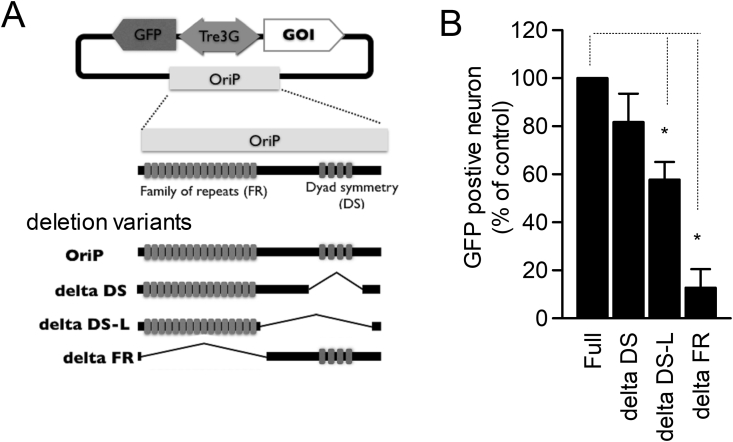 Figure 3