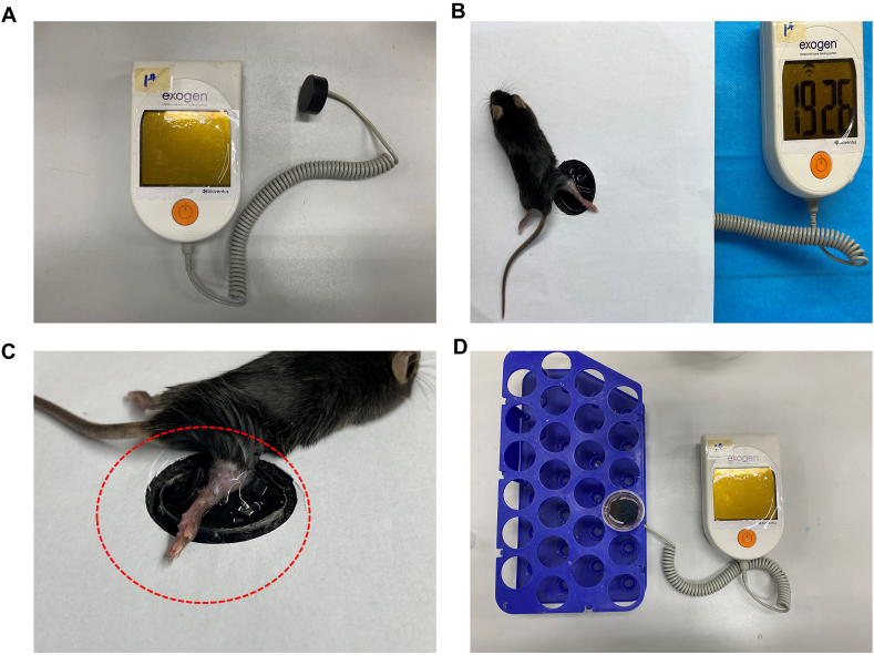 Fig. 1