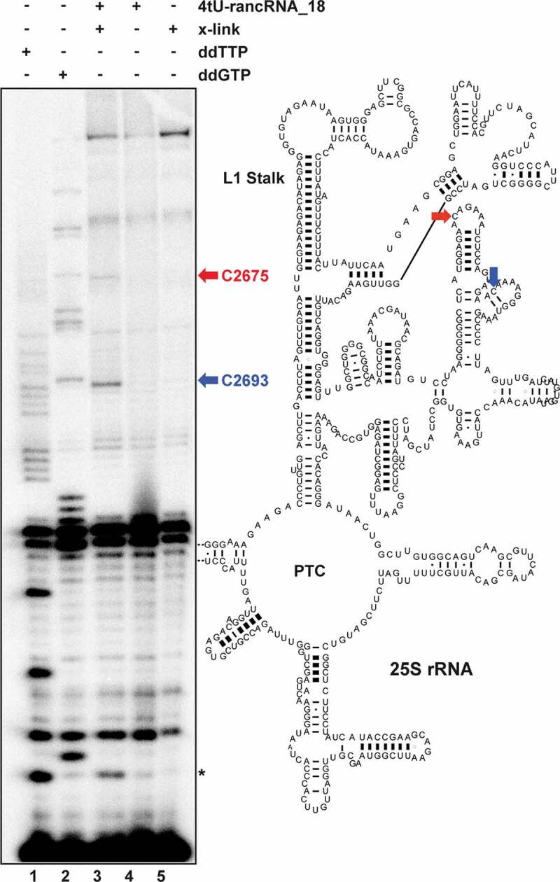 Figure 6.