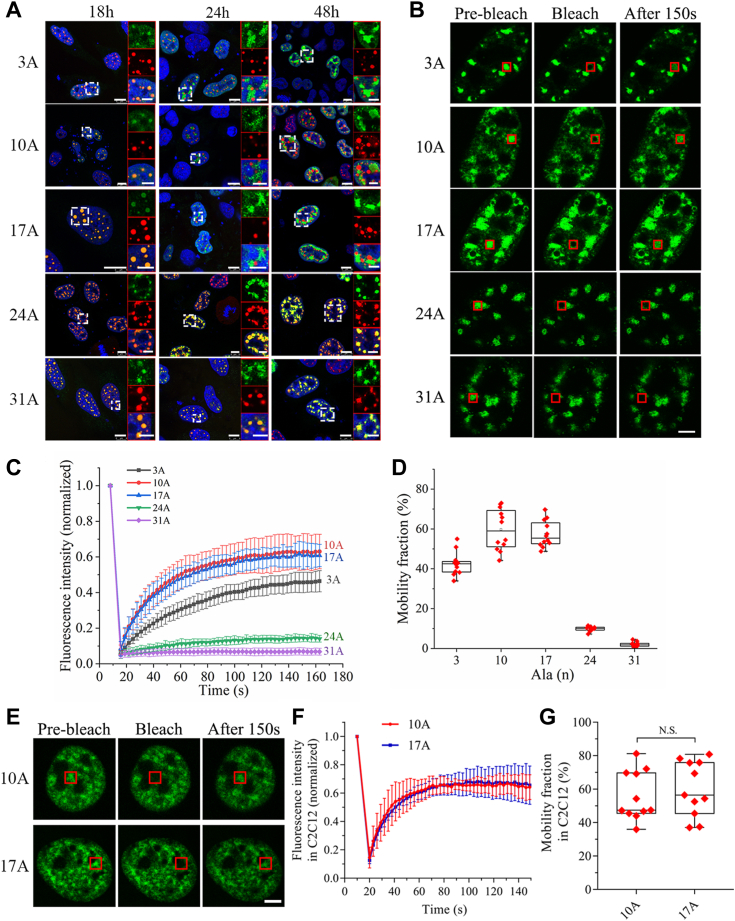 Figure 2