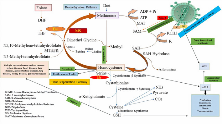 FIGURE 1