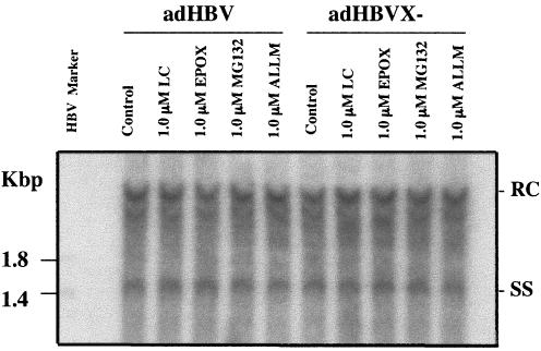 FIG. 5.