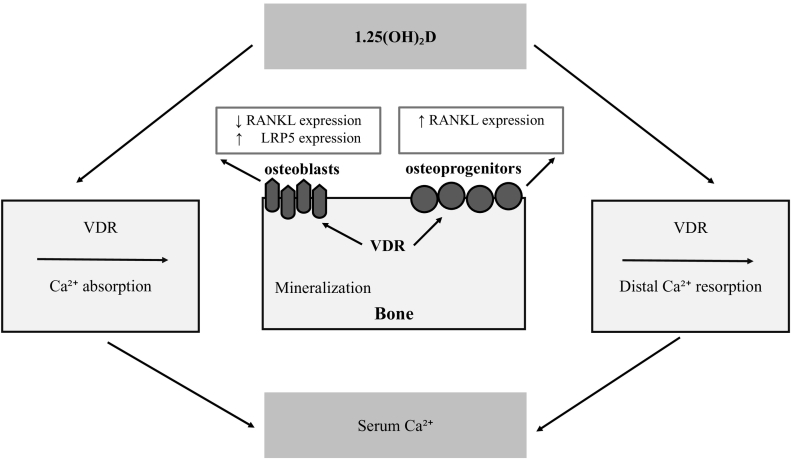 Fig. 2