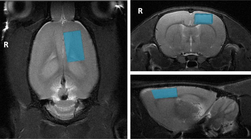 Figure 2.