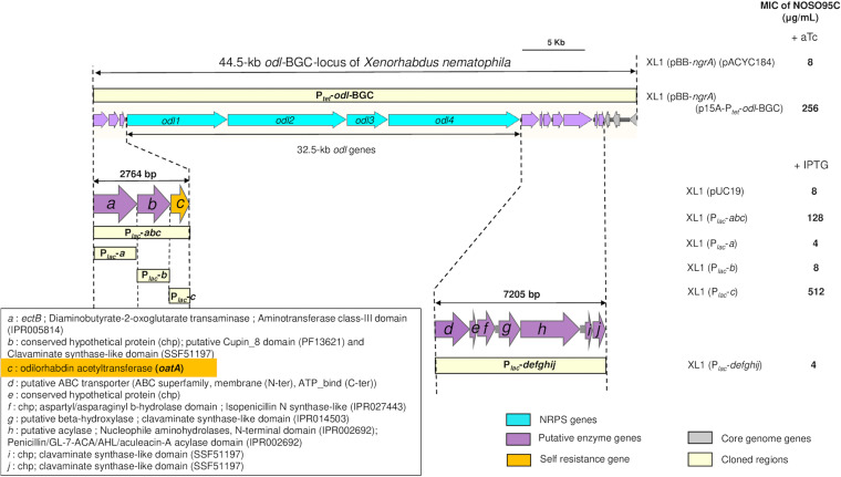 FIG 2