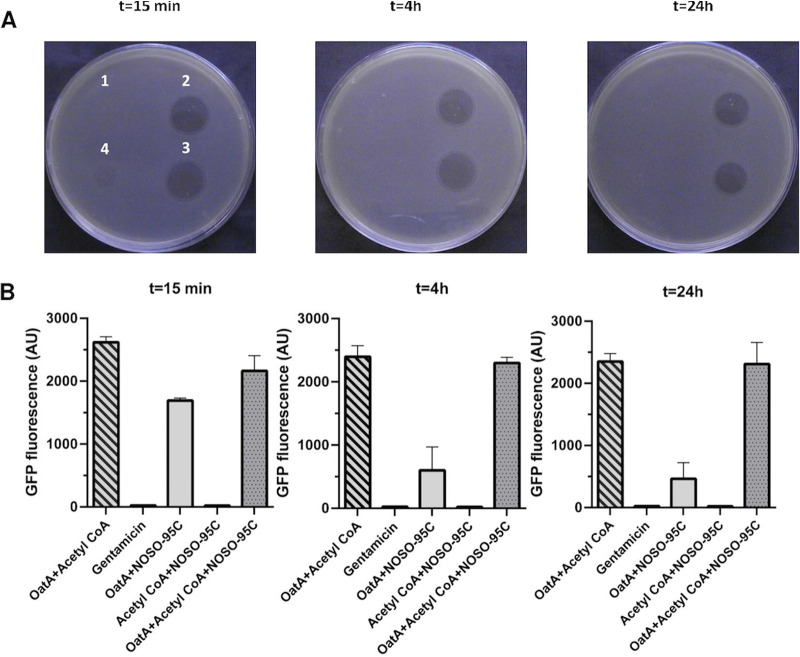 FIG 3