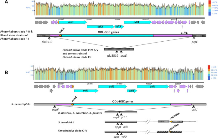 FIG 6